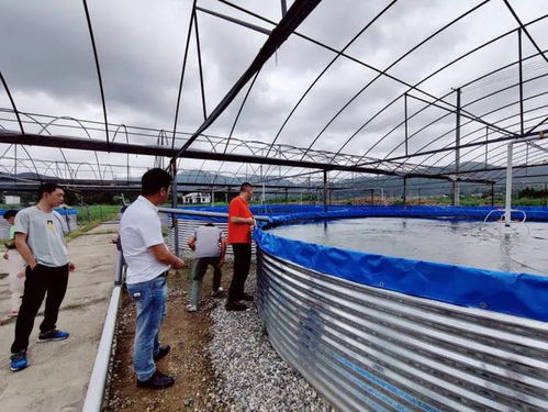 臺風“煙花”來襲，三門縣快速行動確保畜牧漁業飼料供應穩定