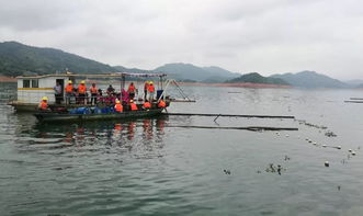 縣畜牧獸醫(yī)漁業(yè)局多措并舉 大力引導(dǎo)和扶持綠色畜牧業(yè)高質(zhì)量發(fā)展