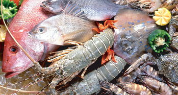 平陽人有口福了！8月1日起新鮮海產上市，各類海魚豐富餐桌