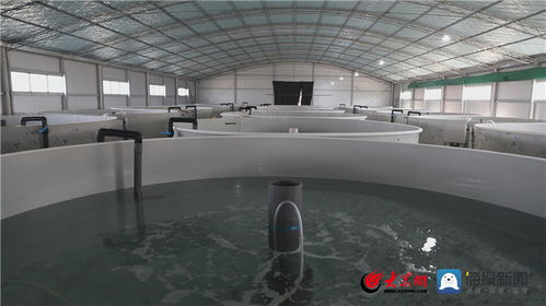 創新潮涌黃河口⑥ 漁·生態·智造 墾利區“漁業+”融合新模式塑造區域核心競爭力