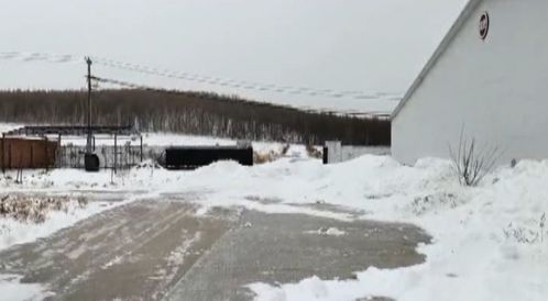 風(fēng)雪同舟 畜牧部門(mén)筑牢防寒屏障，汽車(chē)裝飾業(yè)迎冬季消費(fèi)熱潮